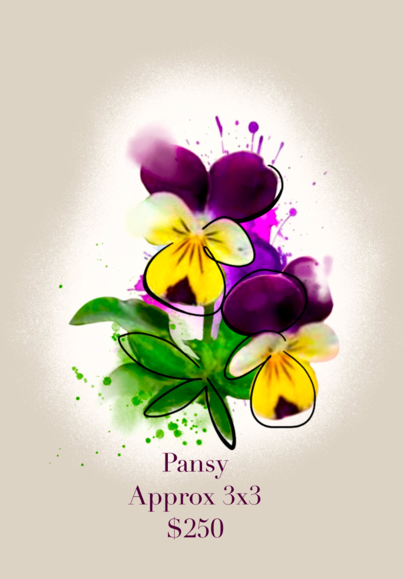Pansy - Kristy