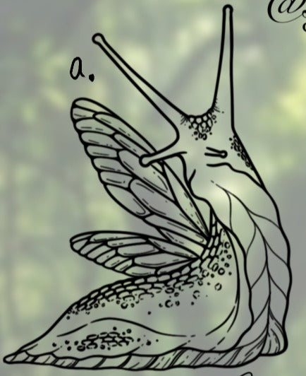 Fairies (a) - Sydney