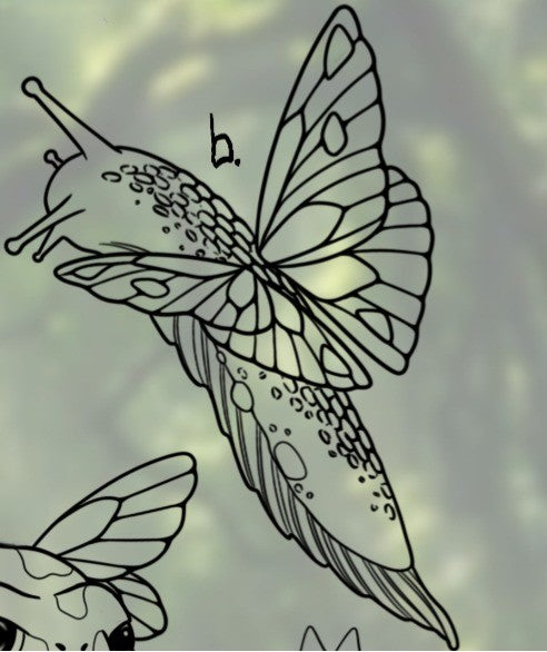 Fairies (b) - Sydney