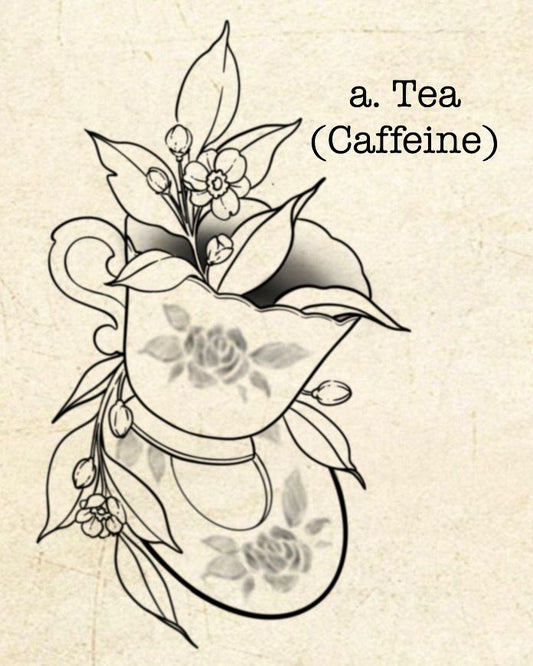 PHR Fundraiser (a) - Sydney