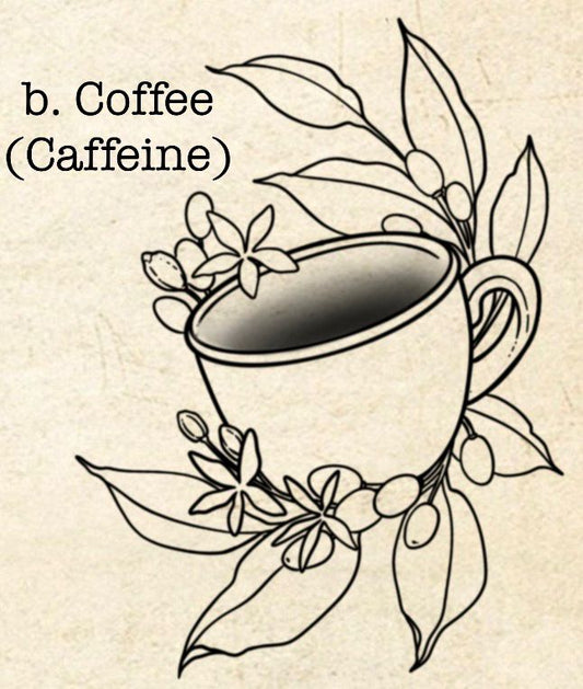 PHR Fundraiser (b) - Sydney