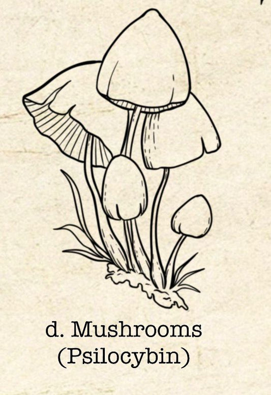 PHR Fundraiser (d) - Sydney