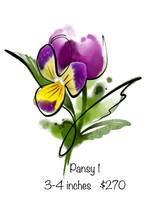 Pansy (1) - Kristy