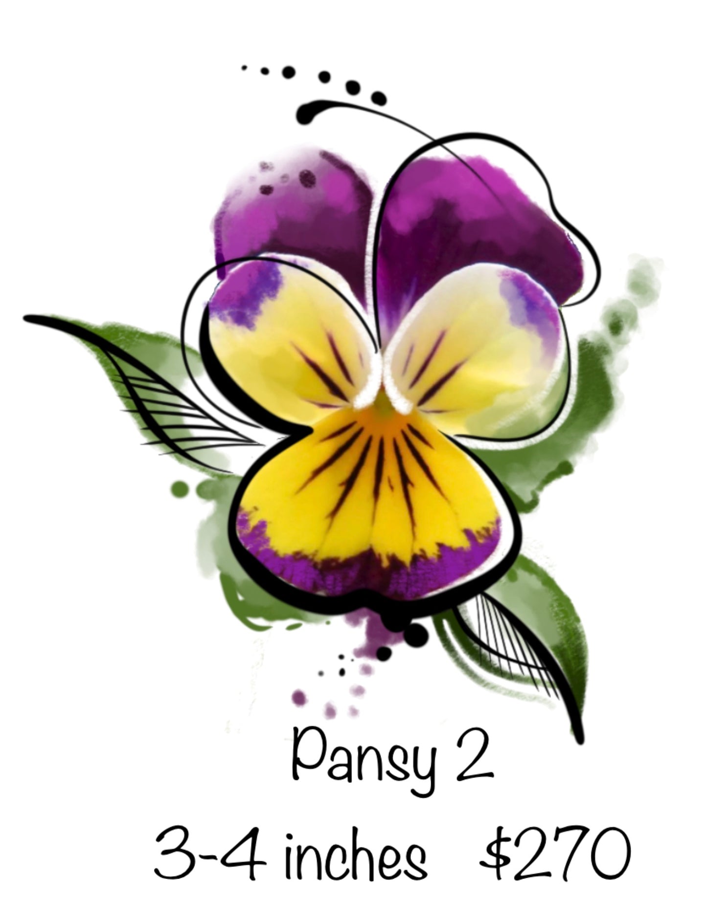 Pansy (2) - Kristy