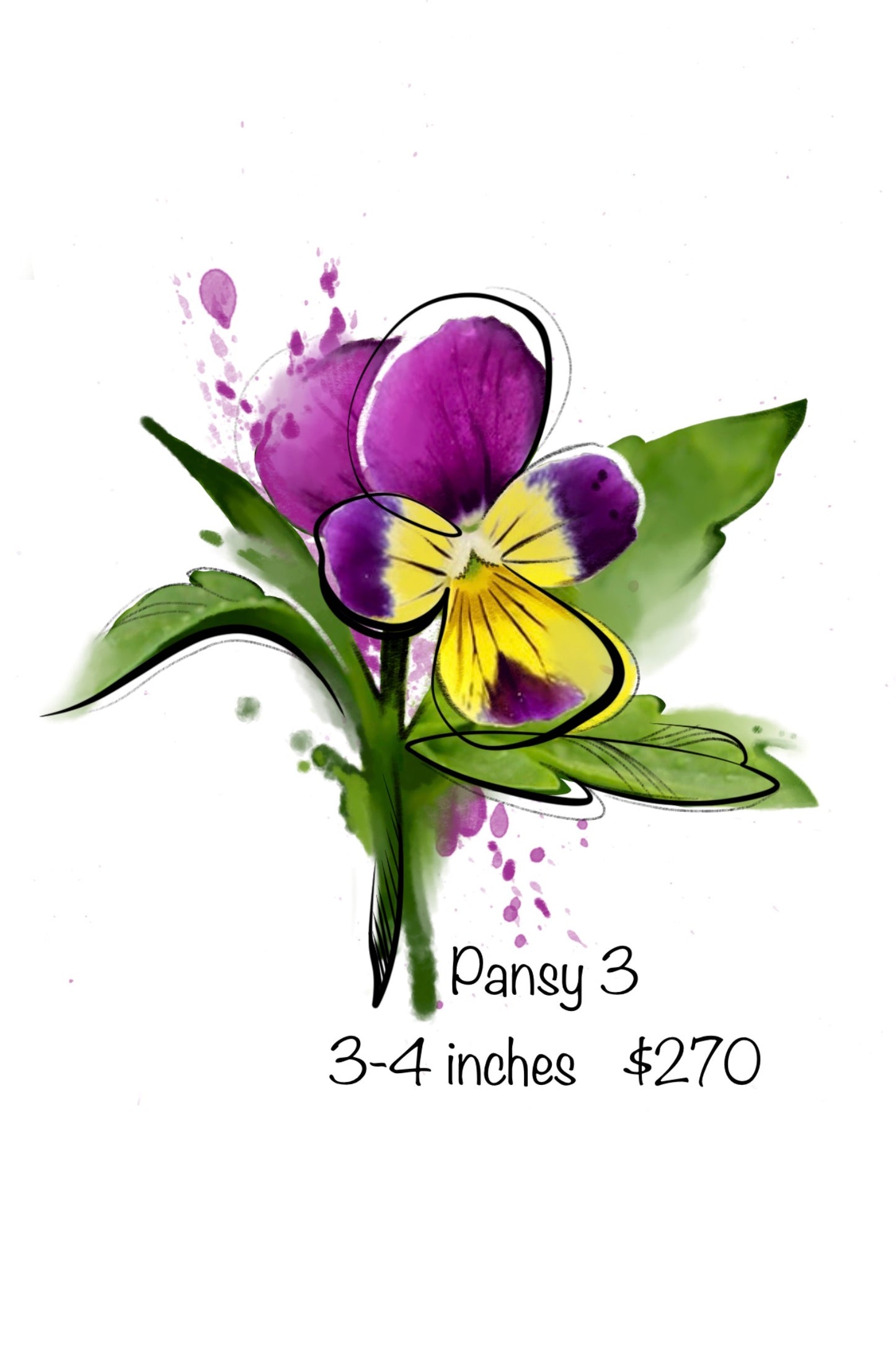 Pansy (3) - Kristy